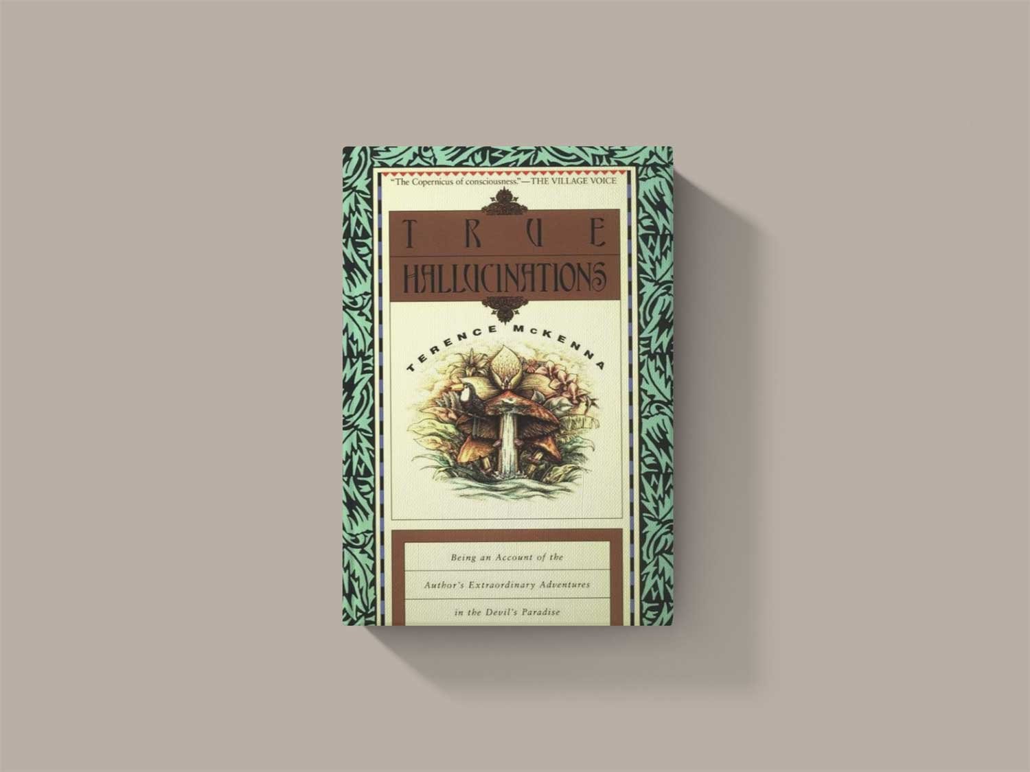 TERENCE Café Book