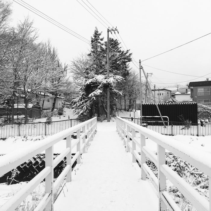 Bridge